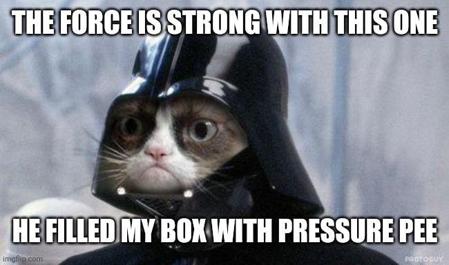 Grumpy Cat Star Wars | THE FORCE IS STRONG WITH THIS ONE; HE FILLED MY BOX WITH PRESSURE PEE | image tagged in memes,grumpy cat star wars,grumpy cat | made w/ Imgflip meme maker