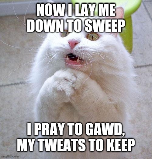 Begging Cat | NOW I LAY ME DOWN TO SWEEP; I PRAY TO GAWD, MY TWEATS TO KEEP | image tagged in begging cat | made w/ Imgflip meme maker