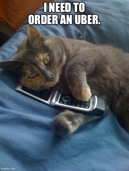 Cat call | I NEED TO ORDER AN UBER. | image tagged in cat call | made w/ Imgflip meme maker