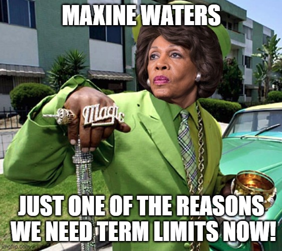 TERM LIIMITS NOW | MAXINE WATERS; JUST ONE OF THE REASONS  WE NEED TERM LIMITS NOW! | image tagged in maxine waters poverty pimp | made w/ Imgflip meme maker