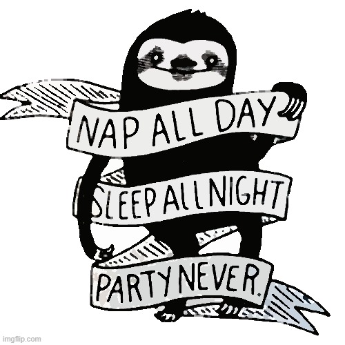 The sloth- creed. | image tagged in sloth nap all day sleep all night party never | made w/ Imgflip meme maker