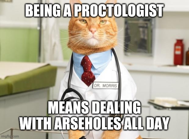 Cat Doctor |  BEING A PROCTOLOGIST; MEANS DEALING WITH ARSEHOLES ALL DAY | image tagged in cat doctor | made w/ Imgflip meme maker