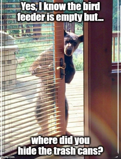 Bear In Doorway | Yes, I know the bird feeder is empty but... where did you hide the trash cans? | image tagged in bear | made w/ Imgflip meme maker