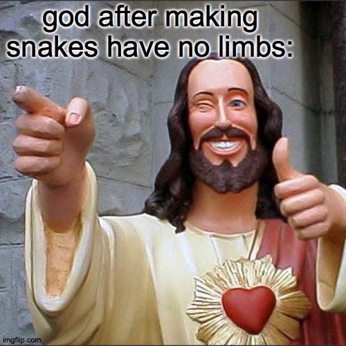 Buddy Christ | god after making snakes have no limbs: | image tagged in memes,buddy christ | made w/ Imgflip meme maker