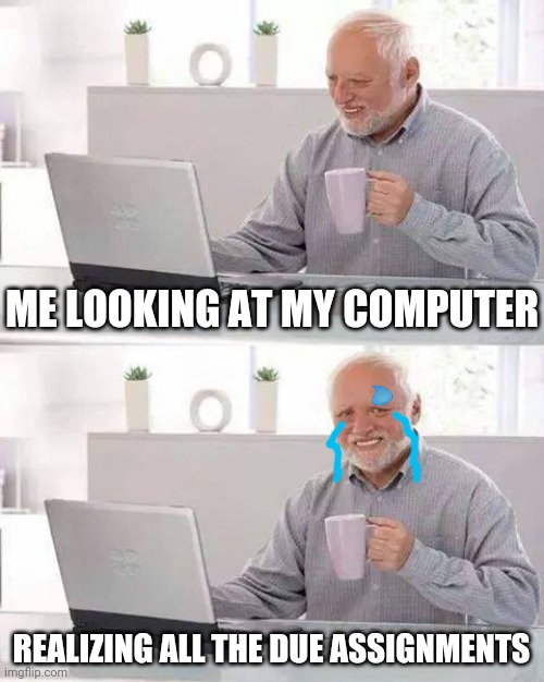 Online school... | ME LOOKING AT MY COMPUTER; REALIZING ALL THE DUE ASSIGNMENTS | image tagged in memes,hide the pain harold | made w/ Imgflip meme maker