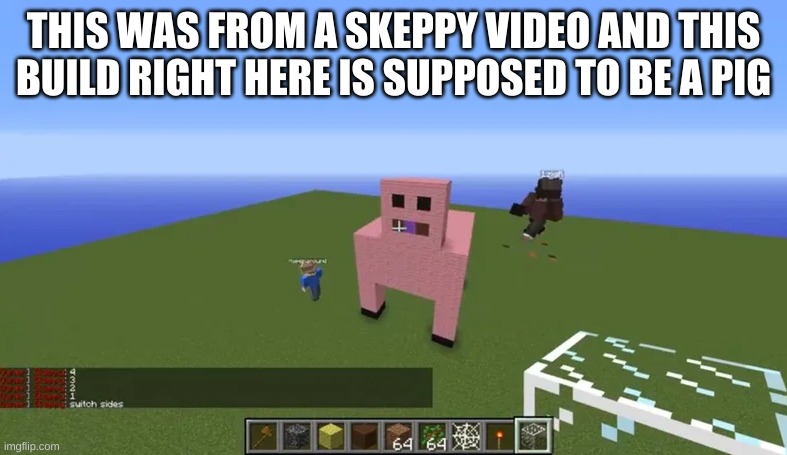 LMAOOOOOOOO | THIS WAS FROM A SKEPPY VIDEO AND THIS BUILD RIGHT HERE IS SUPPOSED TO BE A PIG | image tagged in memes,minecraft,pig | made w/ Imgflip meme maker