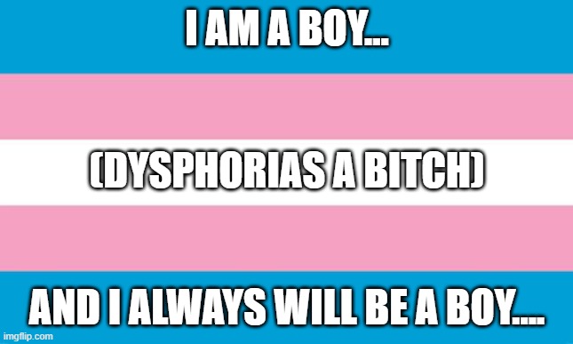 :C | I AM A BOY... (DYSPHORIAS A BITCH); AND I ALWAYS WILL BE A BOY.... | image tagged in transgender flag | made w/ Imgflip meme maker