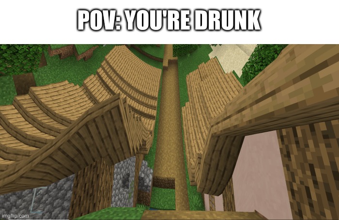 :/ | POV: YOU'RE DRUNK | image tagged in memes,minecraft,drunk | made w/ Imgflip meme maker