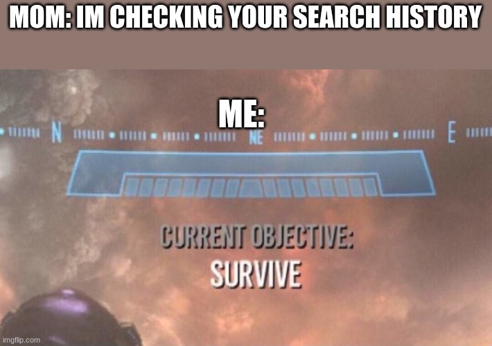 We gotta make it | MOM: IM CHECKING YOUR SEARCH HISTORY; ME: | image tagged in current objective survive,hope,i too like to live dangerously | made w/ Imgflip meme maker