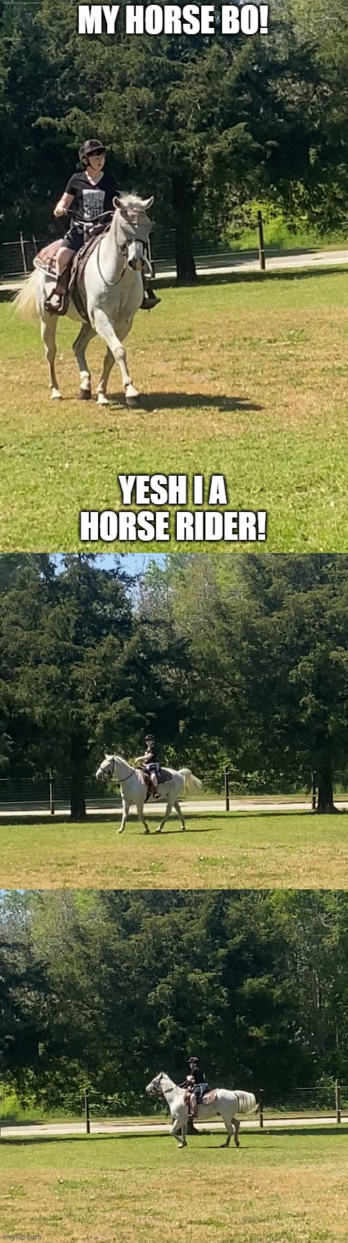 i a country boi | MY HORSE BO! YESH I A HORSE RIDER! | made w/ Imgflip meme maker