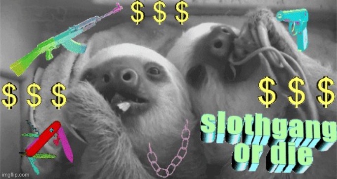 slothgang or die | image tagged in slothgang or die | made w/ Imgflip meme maker