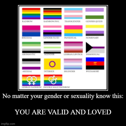 YOU ARE VALID | image tagged in funny,demotivationals | made w/ Imgflip demotivational maker