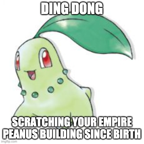 Chikorita | DING DONG SCRATCHING YOUR EMPIRE PEANUS BUILDING SINCE BIRTH | image tagged in chikorita | made w/ Imgflip meme maker
