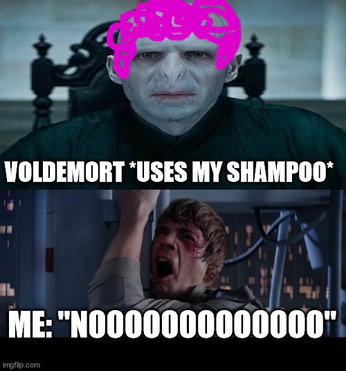 when voldemort uses my shampoo | VOLDEMORT *USES MY SHAMPOO*; ME: "NOOOOOOOOOOOOO" | image tagged in star wars,memes | made w/ Imgflip meme maker