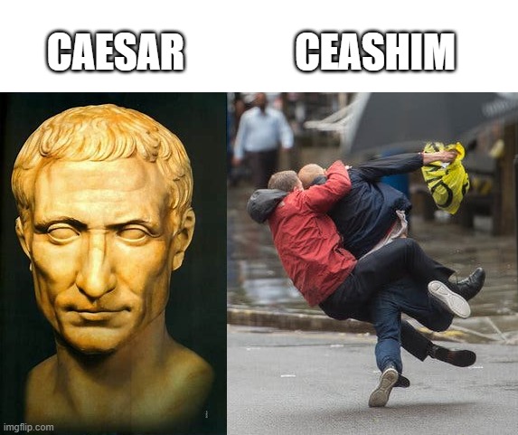 Puns never leave my brain alone. | CEASHIM; CAESAR | image tagged in julius caesar,meme,fun,fun stream,funny,pun | made w/ Imgflip meme maker