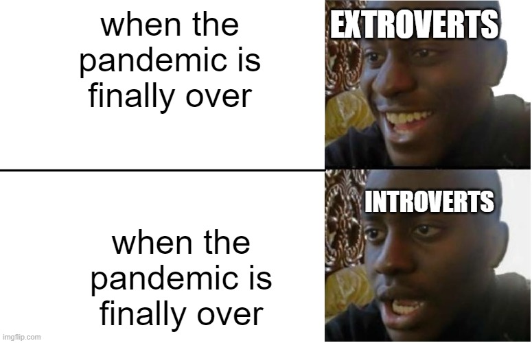 Disappointed Black Guy | EXTROVERTS; when the pandemic is finally over; INTROVERTS; when the pandemic is finally over | image tagged in disappointed black guy,memes | made w/ Imgflip meme maker