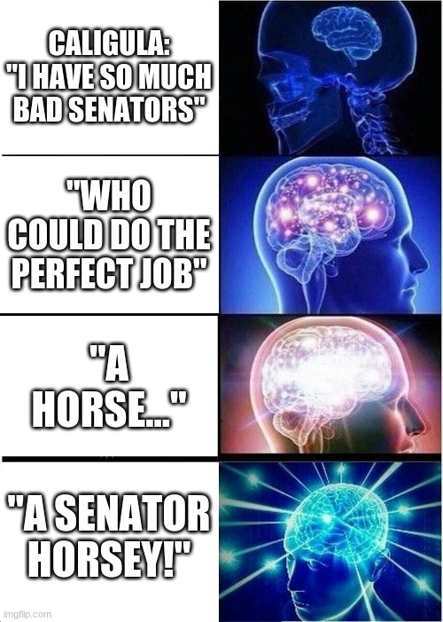 Caligula is Loco | CALIGULA: "I HAVE SO MUCH BAD SENATORS"; "WHO COULD DO THE PERFECT JOB"; "A HORSE..."; "A SENATOR HORSEY!" | image tagged in memes,expanding brain | made w/ Imgflip meme maker