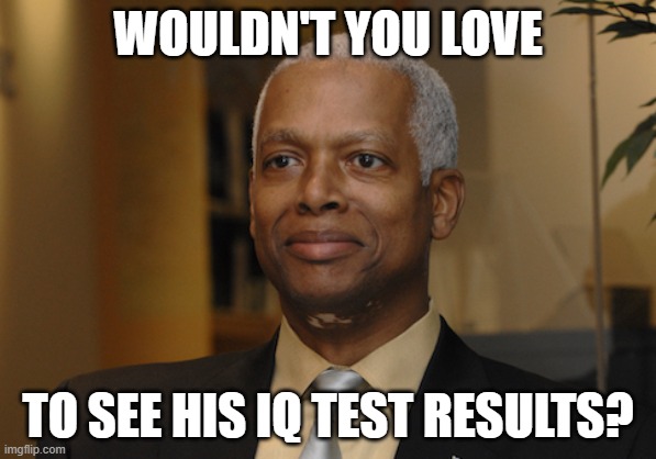 Tell Me How Bright Liberals Are Again (part 12) | WOULDN'T YOU LOVE; TO SEE HIS IQ TEST RESULTS? | image tagged in hank johnson,dimwit,liberal,democrat,moron,guam capsize | made w/ Imgflip meme maker