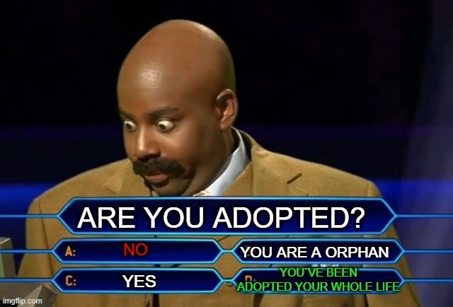 Who wants to be a millionaire? | ARE YOU ADOPTED? NO; YOU ARE A ORPHAN; YOU`VE BEEN ADOPTED YOUR WHOLE LIFE; YES | image tagged in who wants to be a millionaire,adopted | made w/ Imgflip meme maker