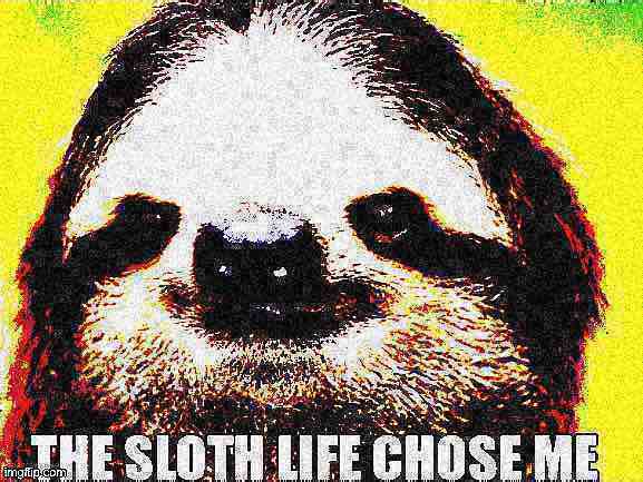 The sloth life chose me deep-fried 1 Blank Meme Template