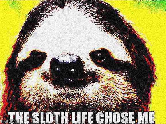 I didn’t choose this life... | image tagged in the sloth life chose me deep-fried 1,sloth,sloths,deep fried,life,custom template | made w/ Imgflip meme maker