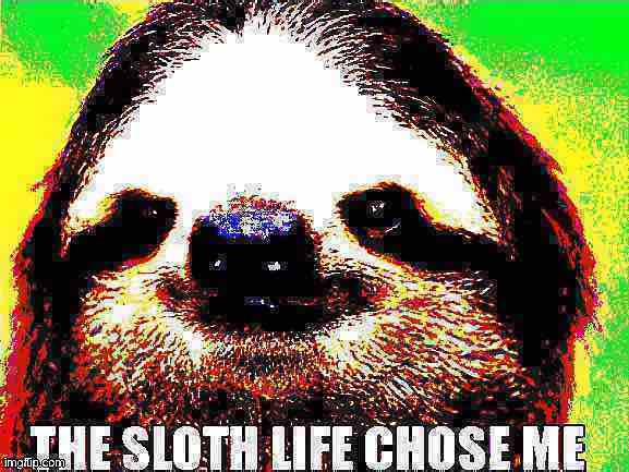 The sloth life chose me deep-fried 2 Blank Meme Template