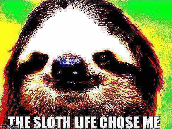 I didn’t choose this life... | image tagged in the sloth life chose me deep-fried 2 | made w/ Imgflip meme maker