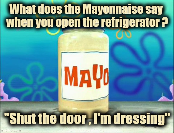 Mayonnaise | What does the Mayonnaise say 
when you open the refrigerator ? "Shut the door , I'm dressing" | image tagged in mayonnaise | made w/ Imgflip meme maker