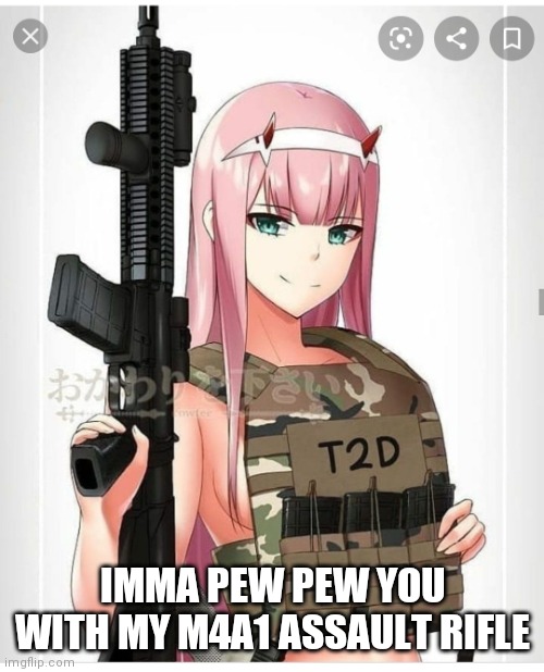 2nd amendment zero two | IMMA PEW PEW YOU WITH MY M4A1 ASSAULT RIFLE | image tagged in 2nd amendment zero two | made w/ Imgflip meme maker