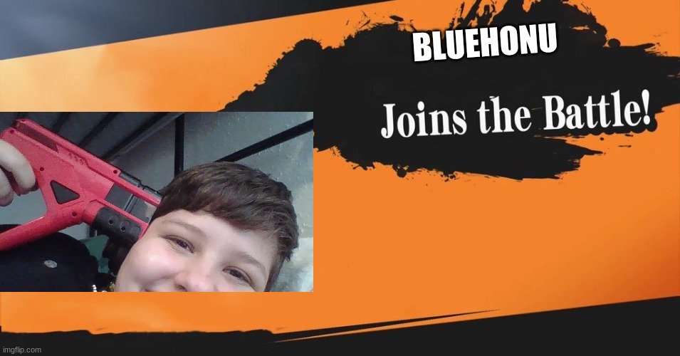 Smash Bros. | BLUEHONU | image tagged in smash bros | made w/ Imgflip meme maker