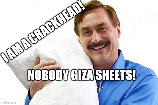 im a crackhead nobidy giza sheets! | I AM A CRACKHEAD! NOBODY GIZA SHEETS! | image tagged in my pillow | made w/ Imgflip meme maker