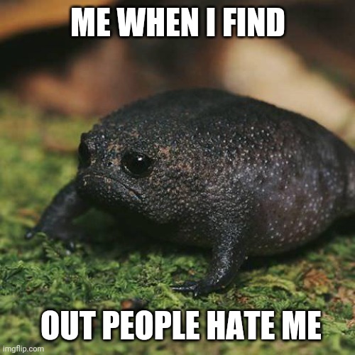 Sad Toad | ME WHEN I FIND; OUT PEOPLE HATE ME | image tagged in sad toad | made w/ Imgflip meme maker