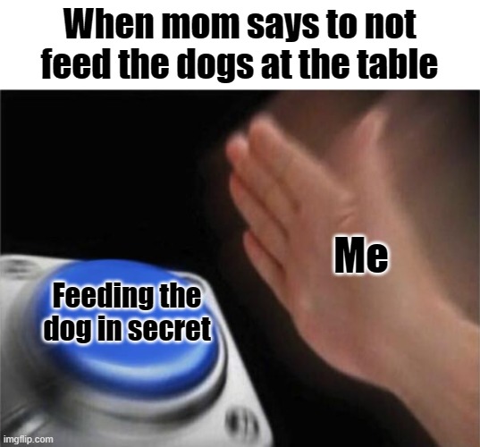 Always got away with it | When mom says to not feed the dogs at the table; Me; Feeding the dog in secret | image tagged in doge,doggo,barney will eat all of your delectable biscuits,doge deserves food,hungry | made w/ Imgflip meme maker