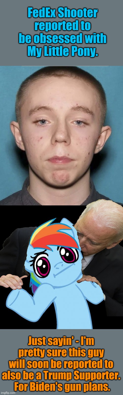 My Little Pony:  Friendship is Tragic | FedEx Shooter reported to be obsessed with My Little Pony. Just sayin' - I'm pretty sure this guy will soon be reported to also be a Trump Supporter.  For Biden's gun plans. | image tagged in memes,pony shrugs,fedex | made w/ Imgflip meme maker