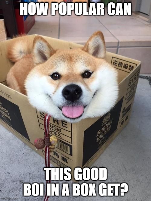 HOW POPULAR CAN; THIS GOOD BOI IN A BOX GET? | made w/ Imgflip meme maker