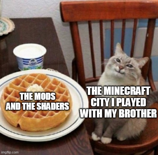 Cat likes their waffle | THE MODS AND THE SHADERS; THE MINECRAFT CITY I PLAYED WITH MY BROTHER | image tagged in cat likes their waffle | made w/ Imgflip meme maker