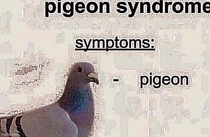 image tagged in pigeons,pigeon,gen-z | made w/ Imgflip meme maker