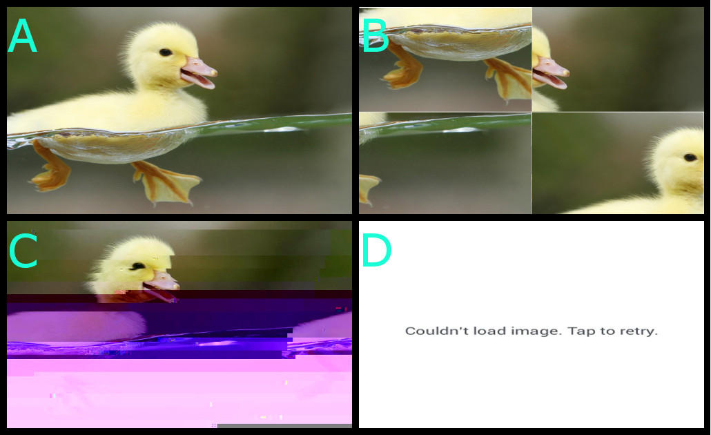 Increasingly Distorted Duck Blank Meme Template