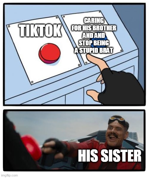 Red and blue button | CARING FOR HIS BROTHER AND AND STOP BEING A STUPID BRAT; TIKTOK; HIS SISTER | image tagged in red and blue button | made w/ Imgflip meme maker