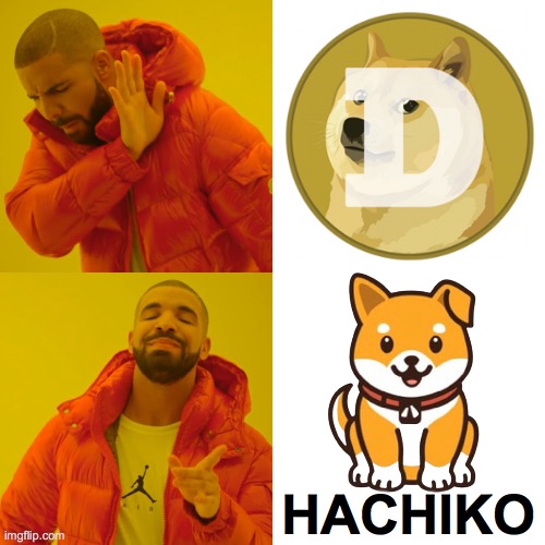 Drake Loves Hachiko |  HACHIKO | image tagged in memes,drake hotline bling,crypto,cryptocurrency | made w/ Imgflip meme maker