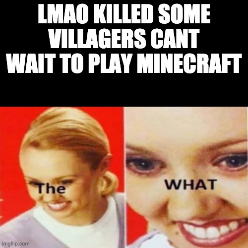 The What | LMAO KILLED SOME VILLAGERS CANT WAIT TO PLAY MINECRAFT | image tagged in the what | made w/ Imgflip meme maker