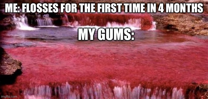 Oof... | ME: FLOSSES FOR THE FIRST TIME IN 4 MONTHS; MY GUMS: | image tagged in pain | made w/ Imgflip meme maker