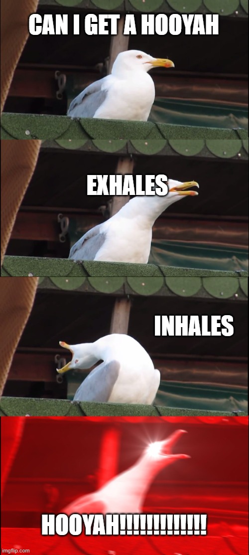 Inhaling Seagull Meme | CAN I GET A HOOYAH; EXHALES; INHALES; HOOYAH!!!!!!!!!!!!! | image tagged in memes,inhaling seagull | made w/ Imgflip meme maker