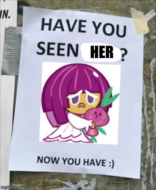 Have you seen this cookie ? | HER | image tagged in have you seen him now you have | made w/ Imgflip meme maker