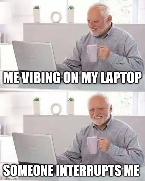 Hide the Pain Harold Meme | ME VIBING ON MY LAPTOP; SOMEONE INTERRUPTS ME | image tagged in memes,hide the pain harold | made w/ Imgflip meme maker