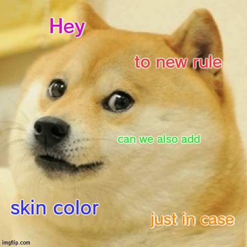 Just in case..... | Hey; to new rule; can we also add; skin color; just in case | image tagged in memes,doge,war | made w/ Imgflip meme maker