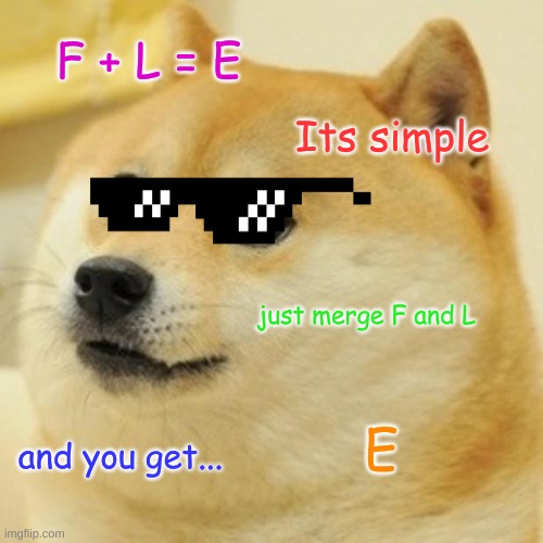 We should learn this in school... | F + L = E; Its simple; just merge F and L; E; and you get... | image tagged in memes,doge | made w/ Imgflip meme maker