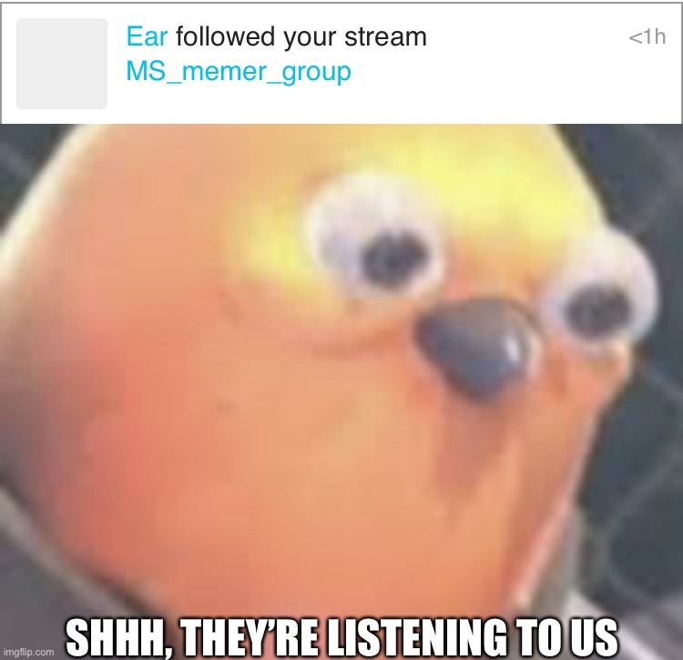 SHHH, THEY’RE LISTENING TO US | image tagged in listen here you little shit bird | made w/ Imgflip meme maker