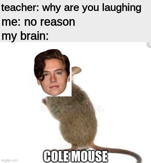 overrated | teacher: why are you laughing; me: no reason; my brain:; COLE MOUSE | image tagged in cole sprouse  celebrity,funny memes | made w/ Imgflip meme maker