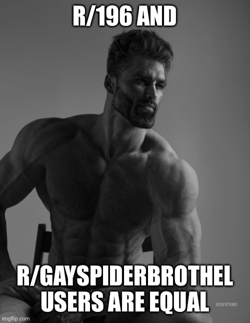 Giga Chad | R/196 AND; R/GAYSPIDERBROTHEL USERS ARE EQUAL | image tagged in giga chad | made w/ Imgflip meme maker